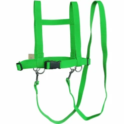 Helga Kreft Zügelmatz Pferdespielleine, Grün